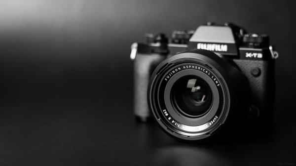 Quelles sont les meilleures poses pour des photos de mariage mémorables ?